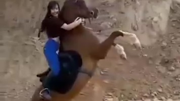 ABG Cindo Jago Banget WOT